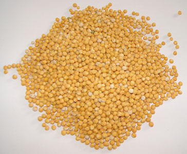 雜糧系列之綠豆 市場動態與供應鏈解析——以運城鹽湖區榮興網絡技術服務為例